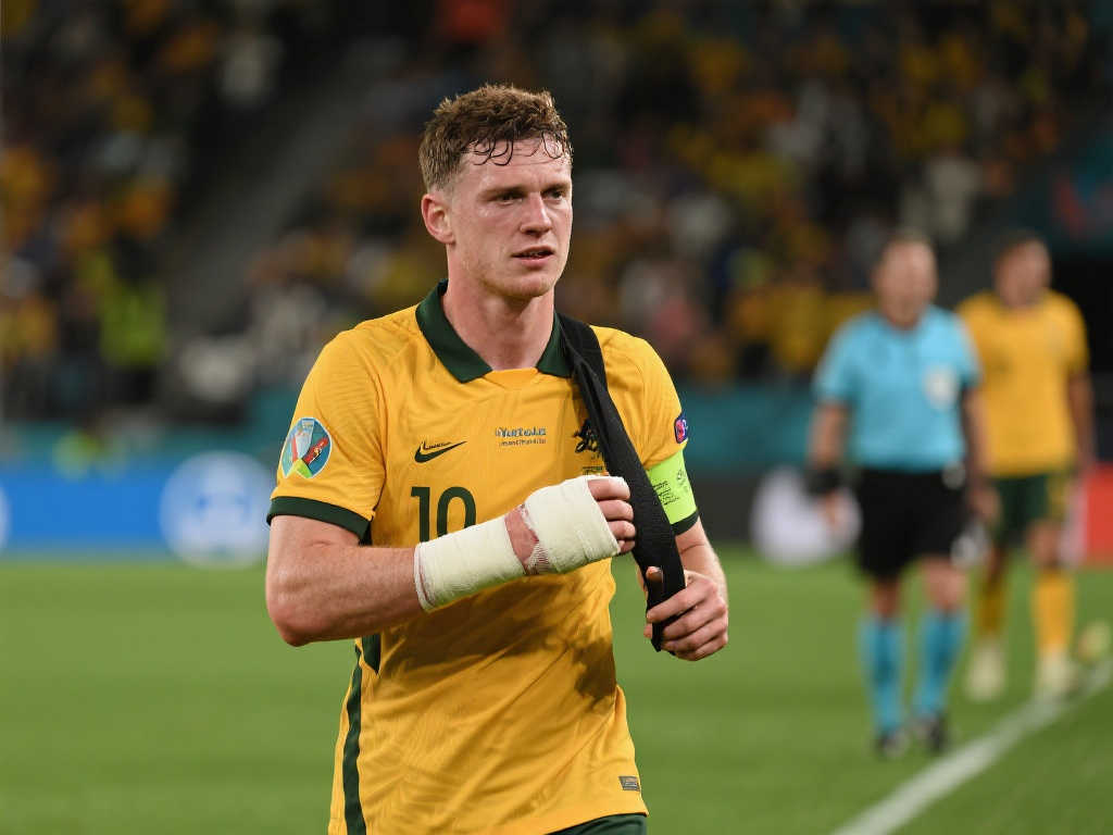 再到辽篮球 再到辽篮球